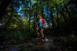 BIB: 
                            <button type="button" onclick="openModal(19240846)" class="btn btn-primary btn-sm float-right btn-popup" data-toggle="modal" data-target=".modal-high-quality">
                        <i class="fas fa-shopping-cart"></i> Add to Cart
                    </button>
                                            <button type="button" onclick="isThisMe(19240846, true)" class="btn btn-success btn-sm float-right btn-popup btn-isme hidden" data-toggle="tooltip" data-placement="bottom" title="นี่คือรูปของคุณใช่ไหม คลิกที่นี่เพื่อเอาเข้าอัลบั้ม">
                        <i class="fas fa-plus"></i> Add to album
                    </button>
                    <button type="button" onclick="isThisMe(19240846, false)" class="btn btn-warning btn-sm float-right btn-popup btn-isnotme hidden">
                        <i class="fas fa-ban"></i> Remove from album
                    </button>